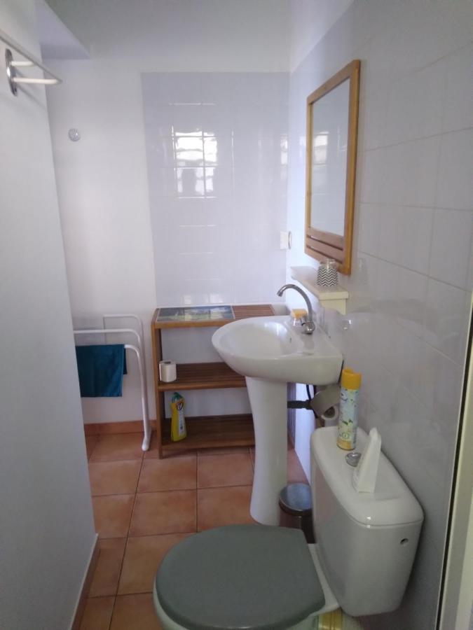 Studio Aux Avirons Pour 2 Personnes, Avec Piscine Les Avirons Exterior photo